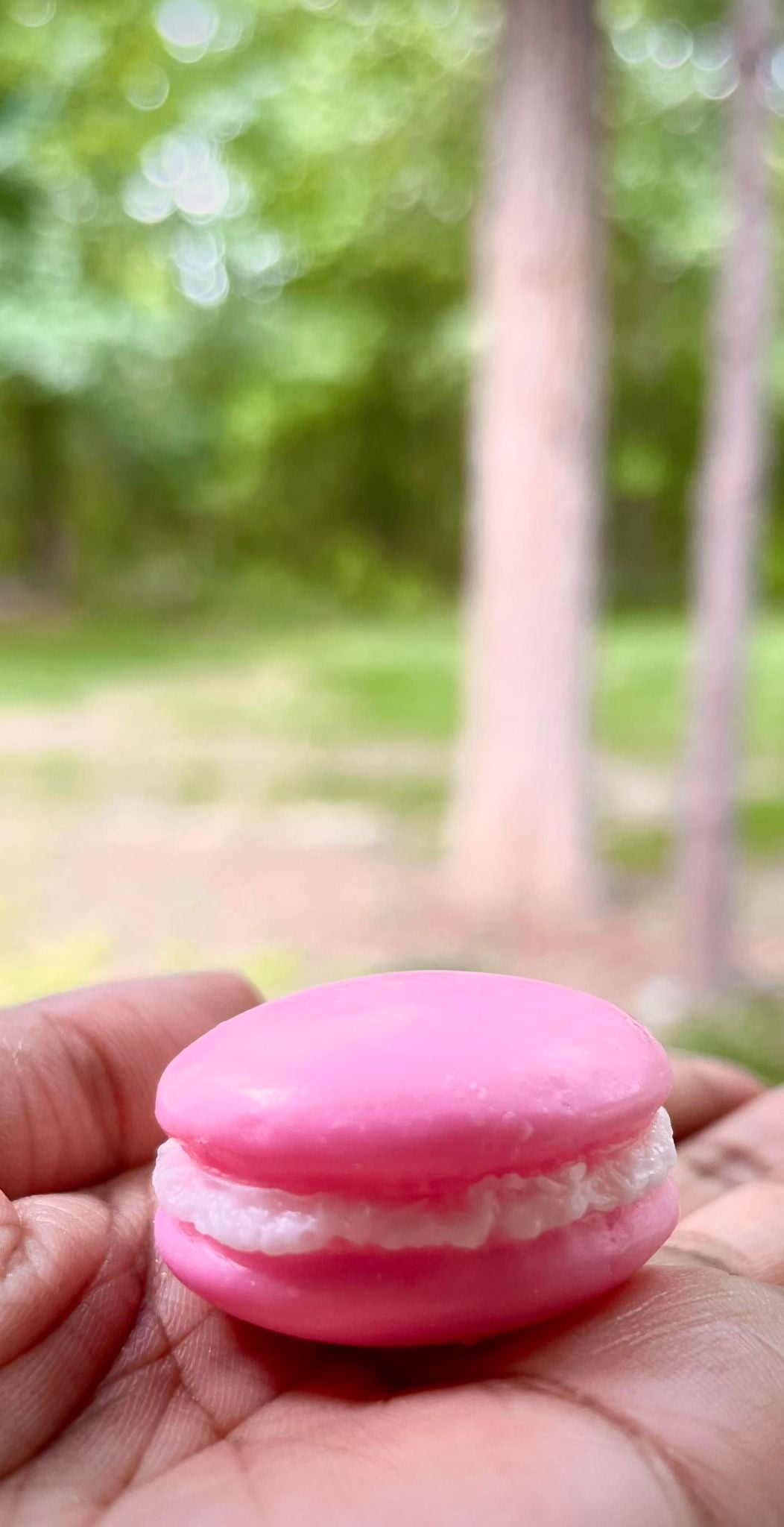 Assorted Macarons