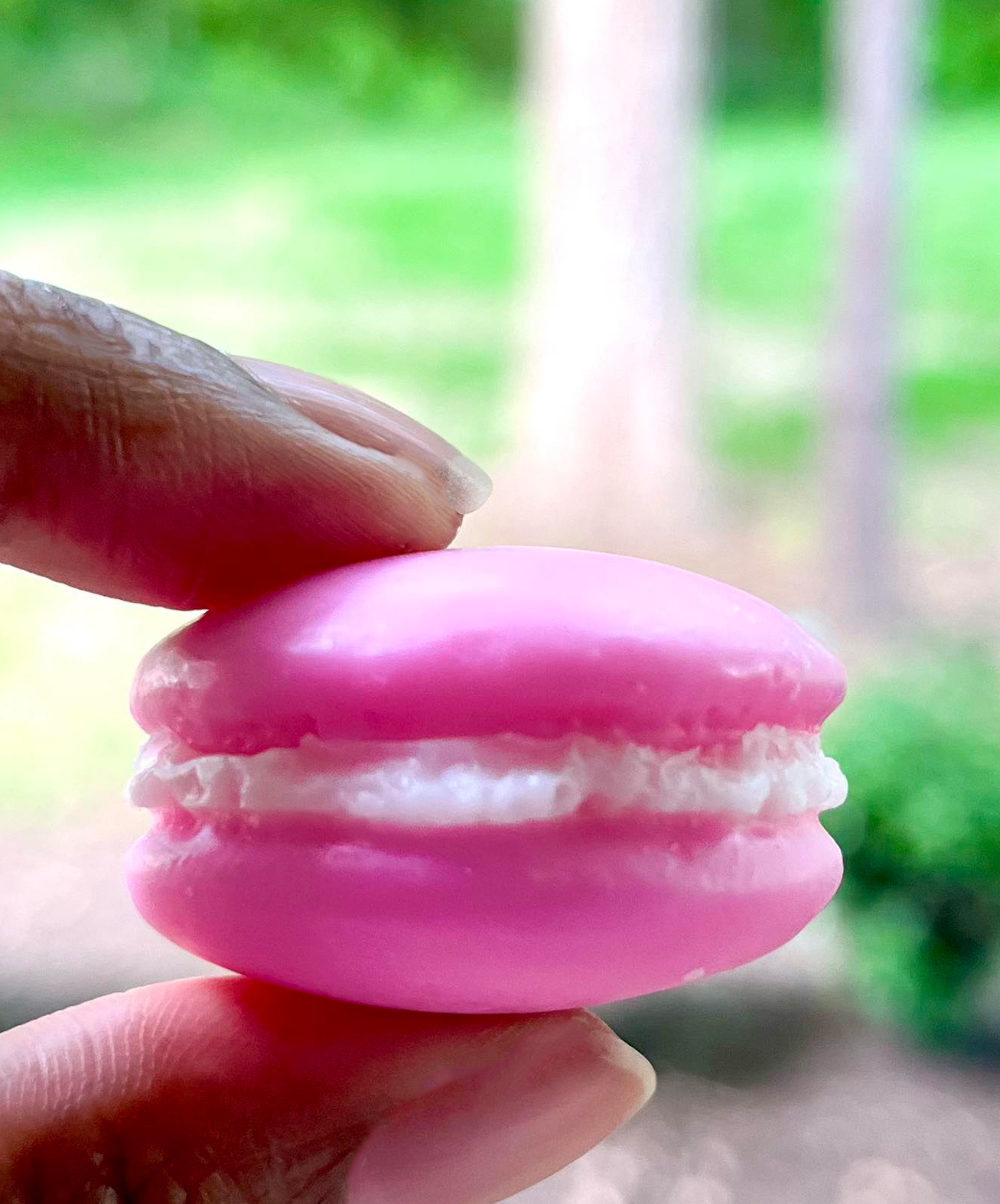 Assorted Macarons